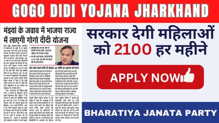 Gogo Didi Yojana Jharkhand